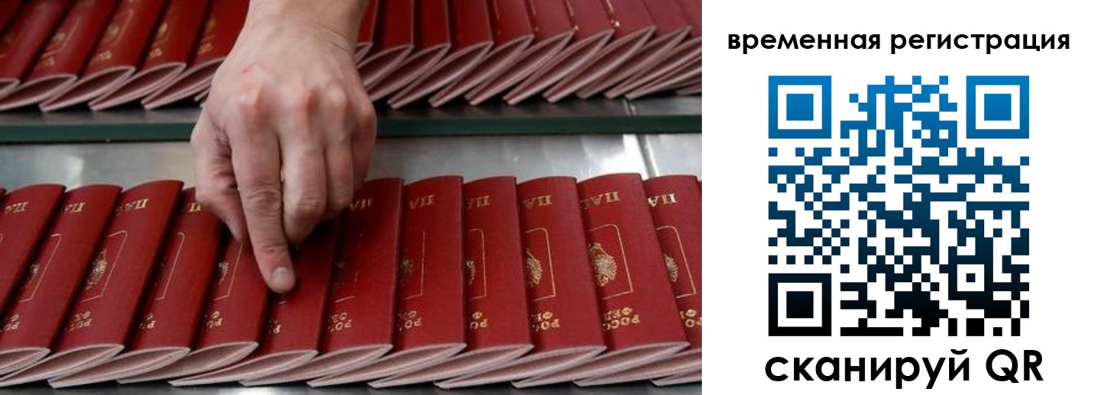 временная регистрация в квартире в Куртамыше